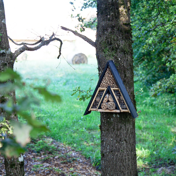 Hôtel à insectes dans le Jura.